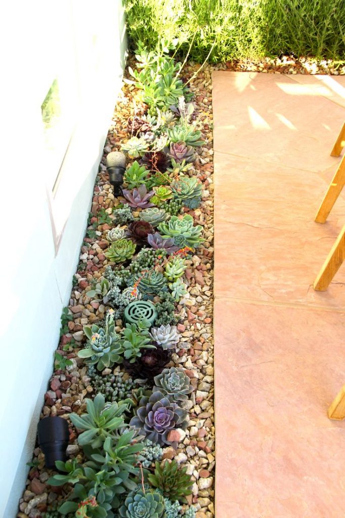 Succulent garden idea around patio. #succulent #succulentlove #gardens #gardening #gardenideas #gardeningtips #succulents #decorhomeideas