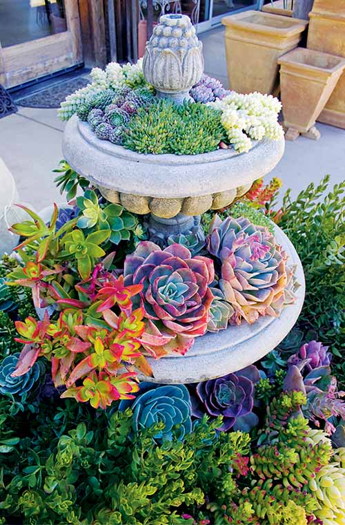 Succulent garden idea on fountain dish planter pot. #succulent #succulentlove #gardens #gardening #gardenideas #gardeningtips #decorhomeideas
