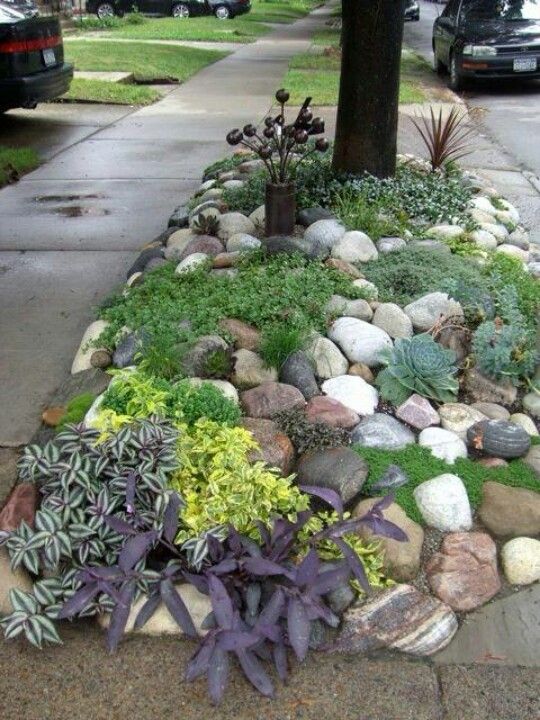 Succulent garden ideas on the street. #succulent #succulentlove #gardens #gardening #gardenideas #gardeningtips #succulents #decorhomeideas