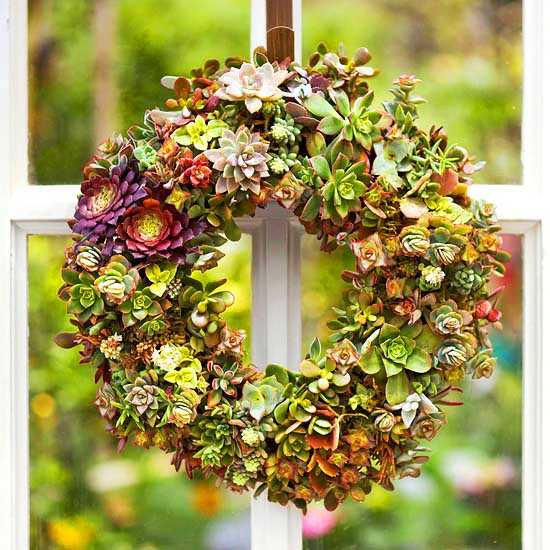 DIY Succulent wreath idea. #succulent #succulentlove #gardens #gardening #gardenideas #gardeningtips #succulents #decorhomeideas #wreath
