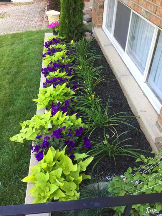 Under windows small flowers garden ideas. #gardens #gardening #gardenideas #gardeningtips #decorhomeideas