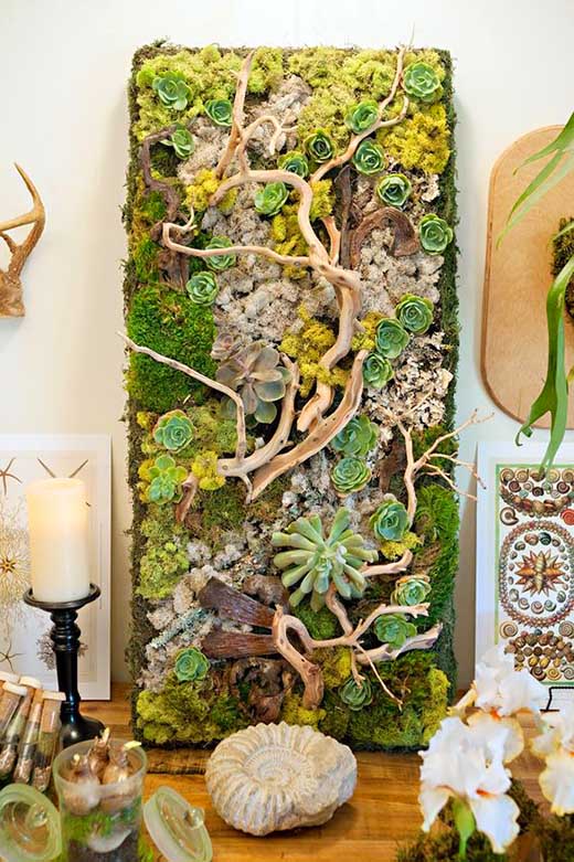 Vertical natural succulent garden. #succulent #succulentlove #succulents #homedecor #decoratingideas #decorhomeideas