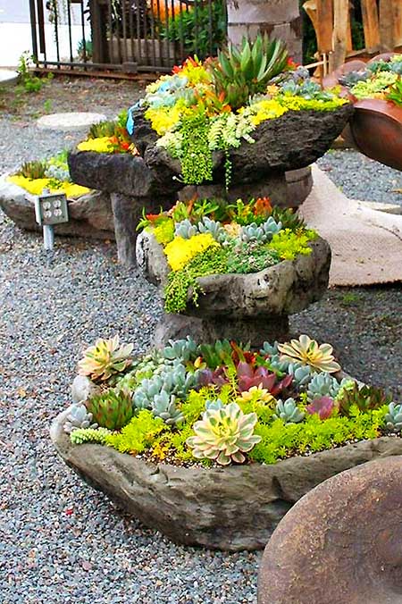 Water stone rock succulent garden ideas. #succulent #succulentlove #gardens #gardening #gardenideas #gardeningtips #succulents #decorhomeideas
