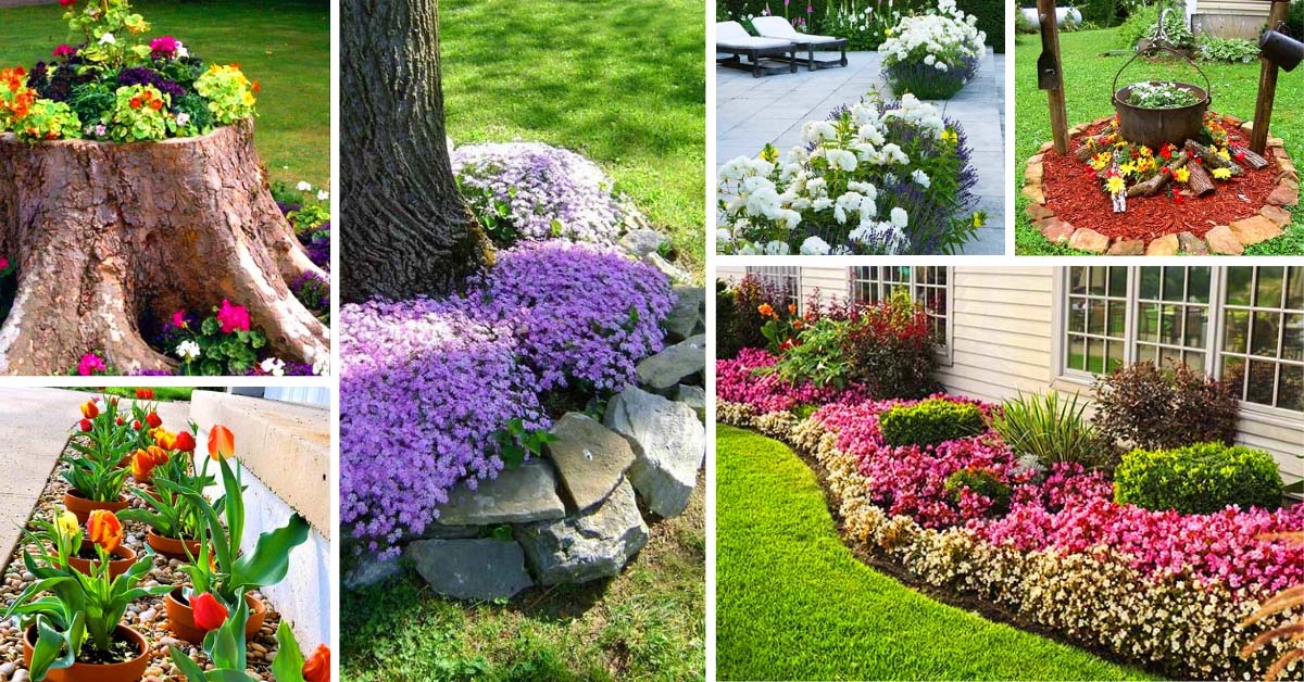 Best Flower Bed Ideas