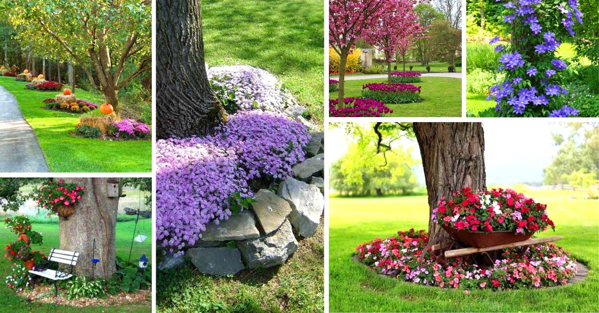 22 Beautiful Flower Beds Around Trees, Can You Put A Raised Bed Around Tree