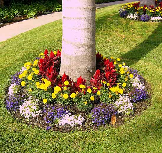 Flowers Tree Base Round Landscaping #flowerbed #flowerpot #planter #gardens #gardenideas #gardeningtips #decorhomeideas