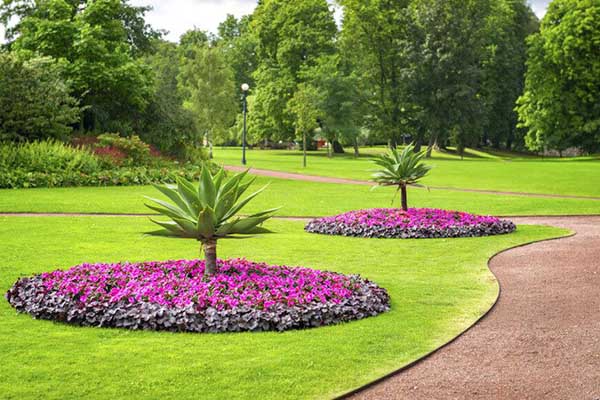 Flower bed around palm tree #flowerbed #flowerpot #planter #gardens #gardenideas #gardeningtips #decorhomeideas