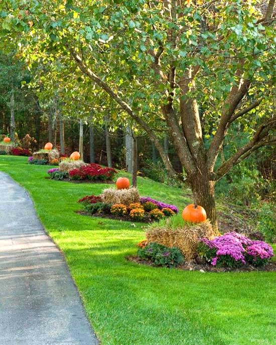 Flower bed around tree decoration #flowerbed #flowerpot #planter #gardens #gardenideas #gardeningtips #decorhomeideas