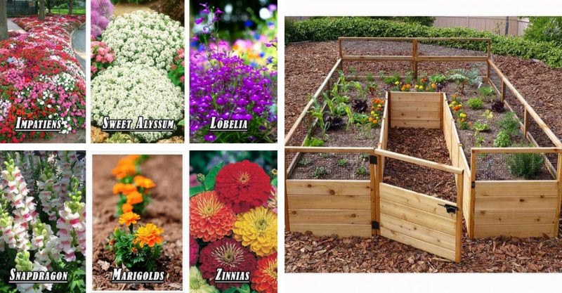 How to build flower bed