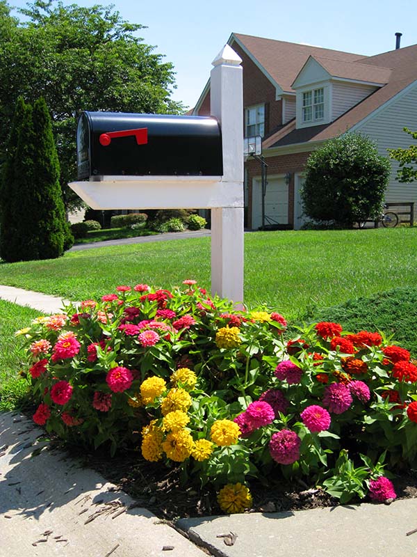 Colorful flower bed around mailbox #flowerbed #mailbox #garden #curbappeal #flowers #decorhomeideas