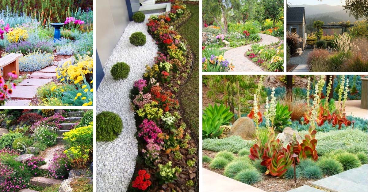 Drought Tolerant Landscaping Ideas and Designs