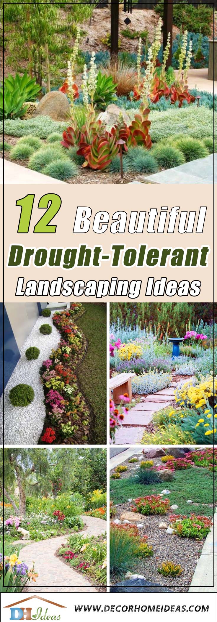 12 Best Drought Tolerant Landscaping Ideas #droughttolerant #landscaping #garden #decorhomeideas