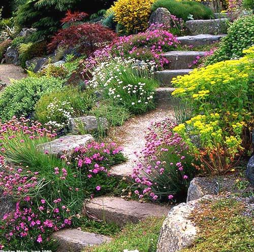 Drought tolerant landscape flowers perennials #droughttolerant #landscaping #garden #decorhomeideas