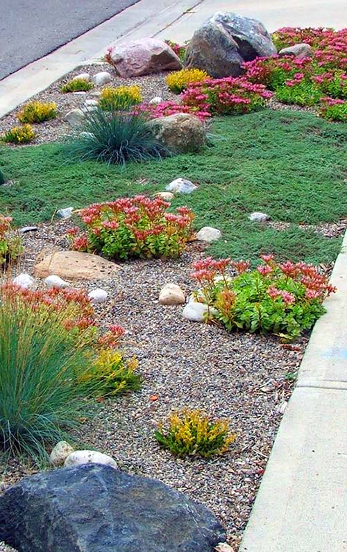 Drought tolerant landscaping pebbles and rocks #droughttolerant #landscaping #garden #decorhomeideas