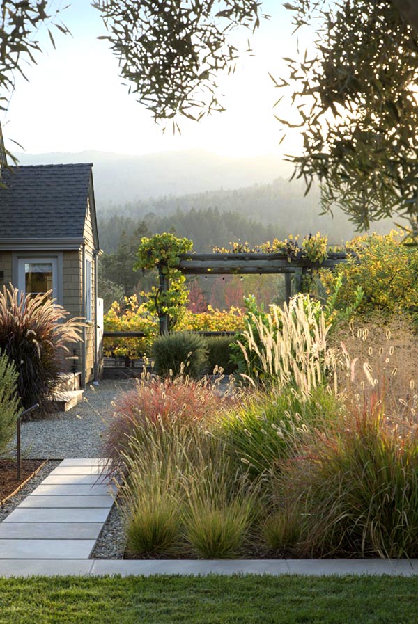 Drought tolerant ornamental grasses #droughttolerant #landscaping #garden #decorhomeideas