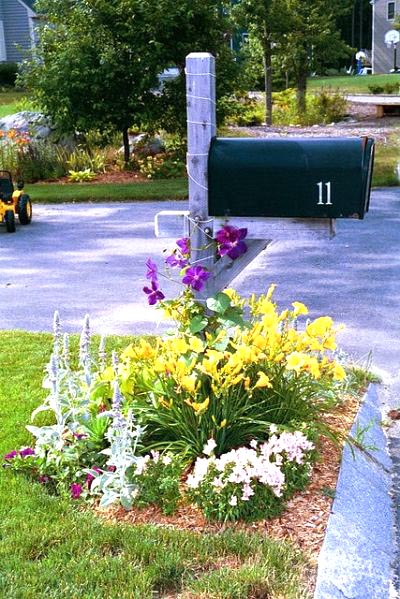 Flower bed garden around mailbox #flowerbed #mailbox #garden #curbappeal #flowers #decorhomeideas