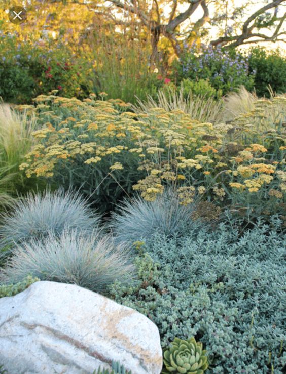 Flower bed low water #droughttolerant #landscaping #garden #decorhomeideas