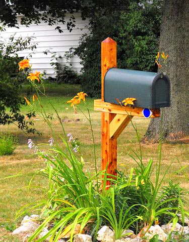 Mailbox flower bed with lilies #flowerbed #mailbox #garden #curbappeal #flowers #decorhomeideas