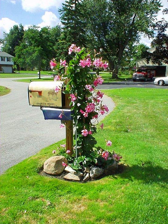 Mailbox flower bed #flowerbed #mailbox #garden #curbappeal #flowers #decorhomeideas