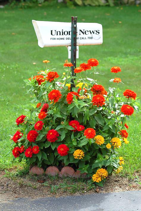 Small flower bed around mailbox #flowerbed #mailbox #garden #curbappeal #flowers #decorhomeideas