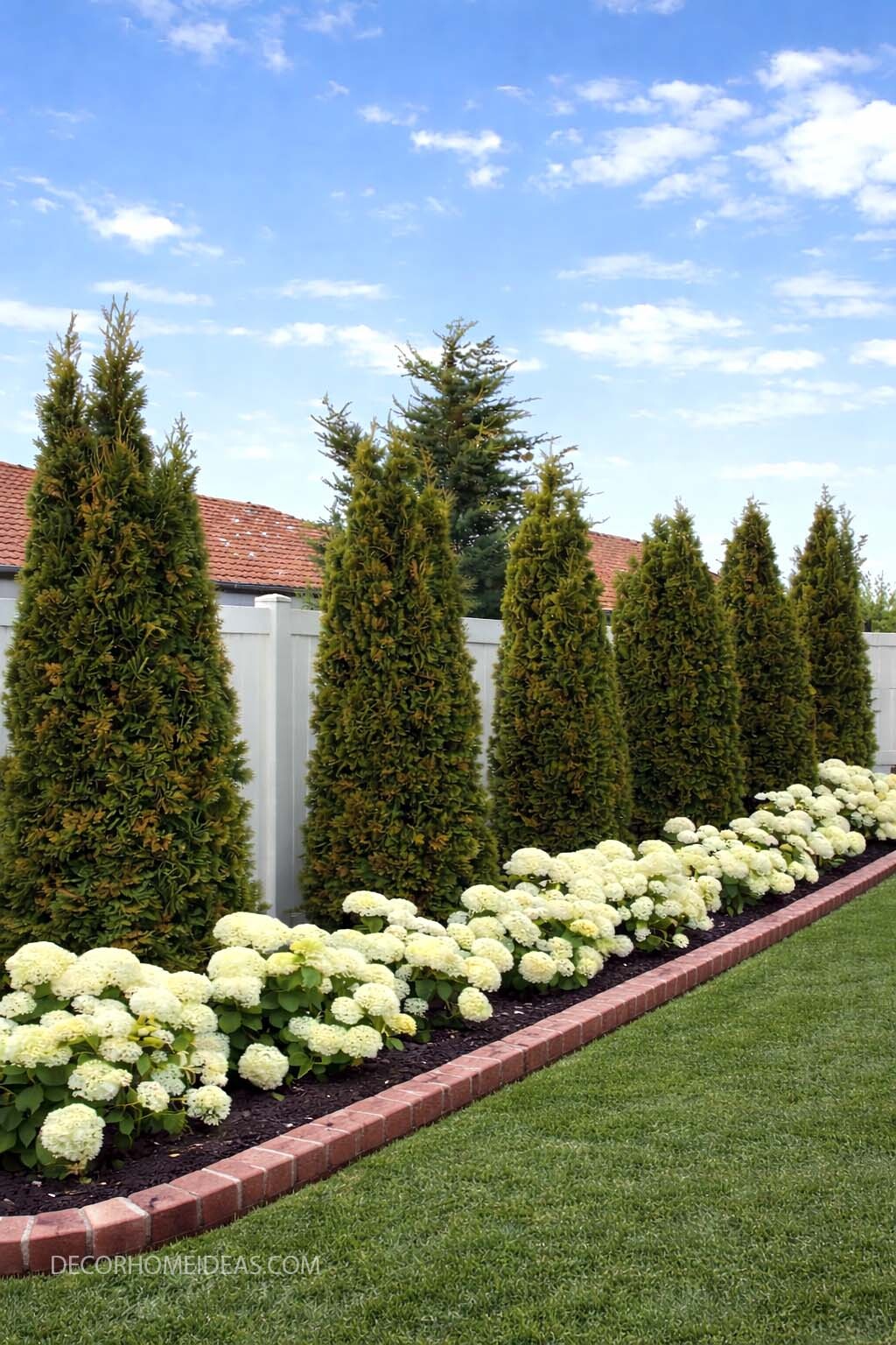 Backyard Privacy Hedge with Hydrangeas and Brick Edging