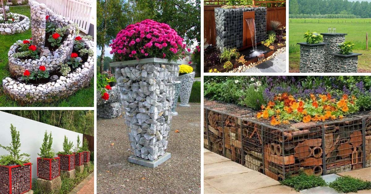 Best Gabion Planter Ideas