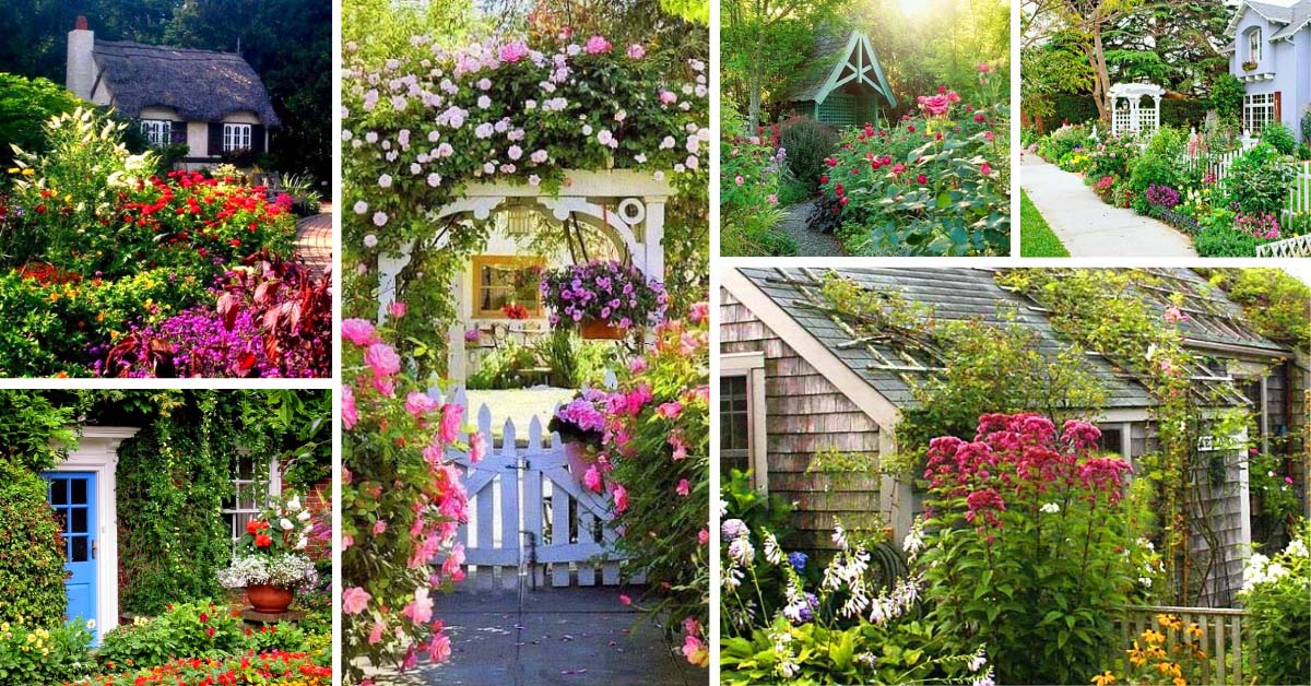 Cottage Garden Layouts