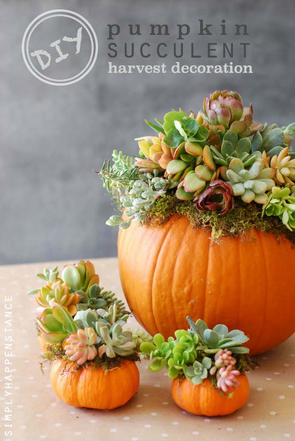 DIY Pumpkin Succulent Fall Centerpiece #pumpkindecor #centerpiece #falldecor #decorhomeideas