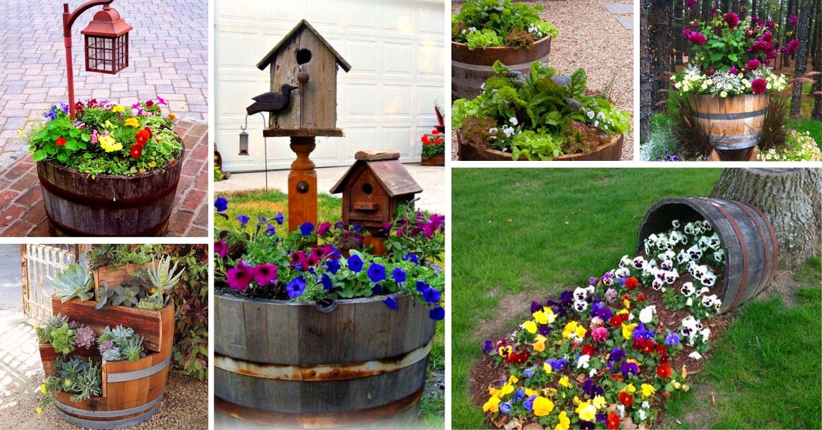 DIY Wine Barrel Planters