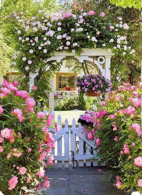 Cottage garden front door #cottagegarden #cottage #garden #landscaping #backyard #flowers #decorhomeideas