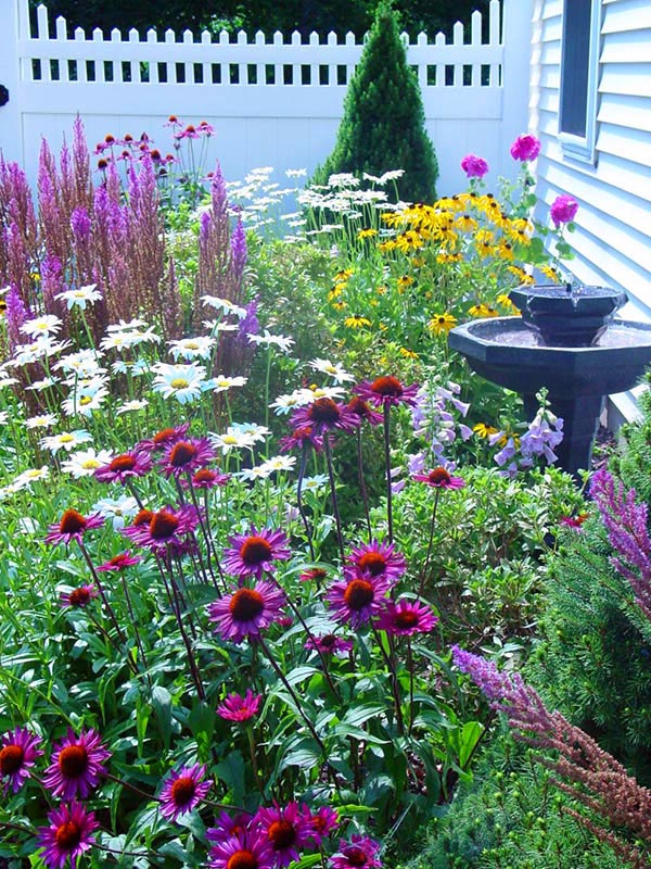 Cottage garden layout with birdbath #cottagegarden #cottage #garden #landscaping #backyard #flowers #decorhomeideas