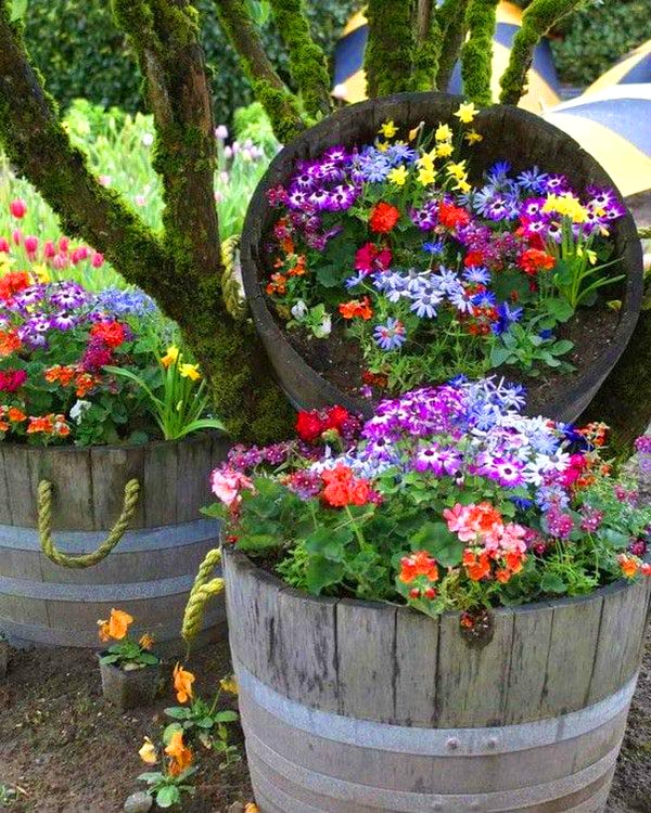 Flowers in old wine barrels #diy #winebarrel #flowerplanter #repurpose #decorhomeideas