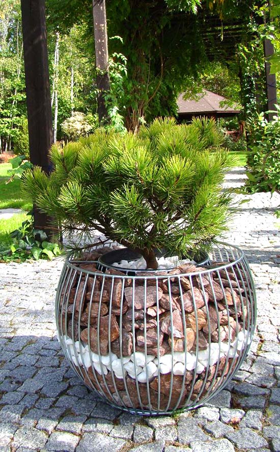 Round gabion tree planter #gabion #gabionplanter #flowerplanter #gardenideas #decorhomeideas