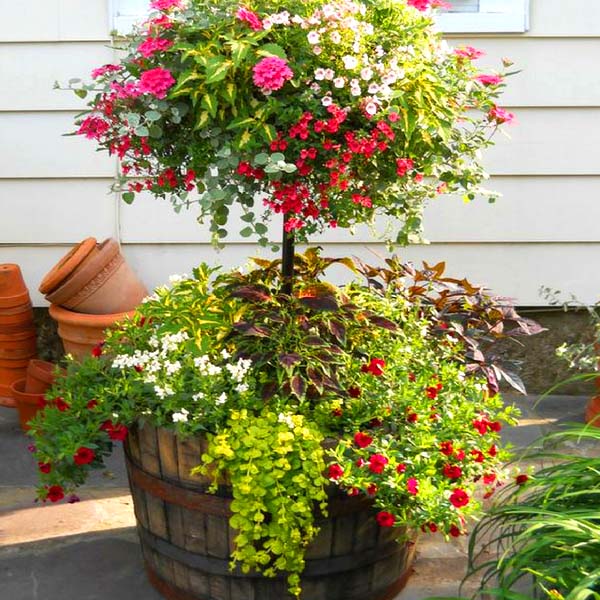 Wine barrel planter flower pot #diy #winebarrel #flowerplanter #repurpose #decorhomeideas