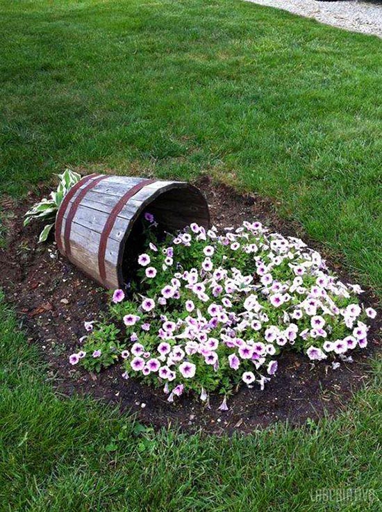 Wine barrel planter with white flowers #diy #winebarrel #flowerplanter #repurpose #decorhomeideas