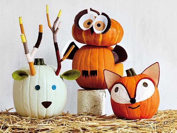 Pumpkin Zoo No-Carve Ideas #pumpkin #falldecor #nocarve #homedecor #decorhomeideas