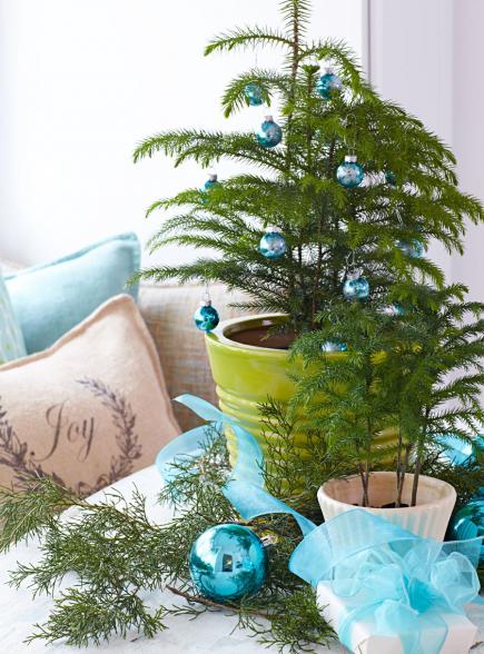 Christmas Pine fresh decoration #Christmas #Christmasdecor #nature #natural #natureinspired #decorhomeideas