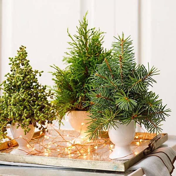 Tiny tannenbaums Christmas decor #Christmas #Christmasdecor #nature #natural #natureinspired #decorhomeideas