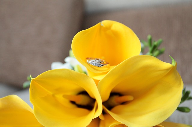 Yellow Calla Lily #yellowcallalily #yellowcala #yellowflower #decorhomeideas