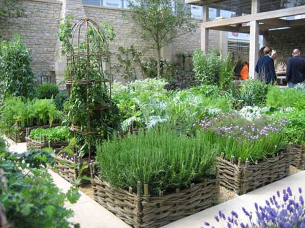 Baskets Veggie Garden