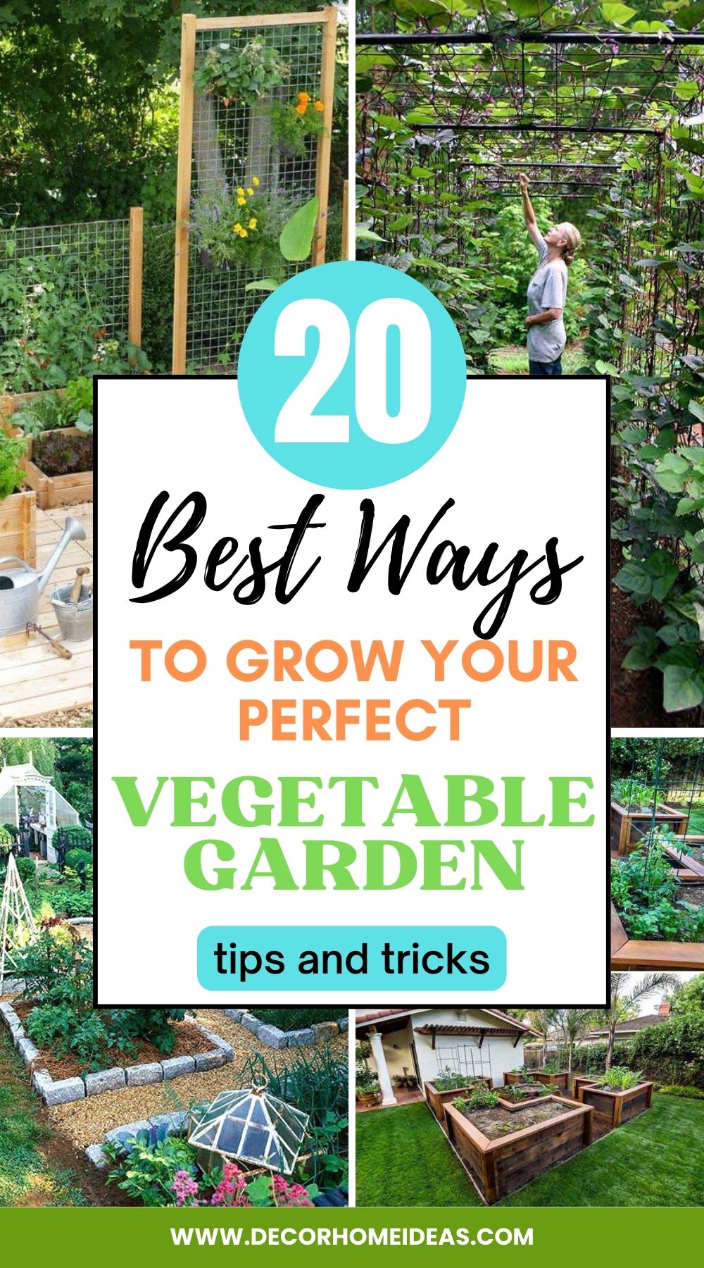 Unlock the secrets to growing the perfect vegetable garden with these 20 expert tips! From choosing the right plants to soil preparation, pest control, and harvesting, this comprehensive guide will help you achieve a bountiful and thriving vegetable garden that's the envy of every green thumb.