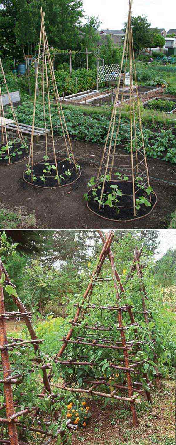 Build Tepees For Vegetable Garden