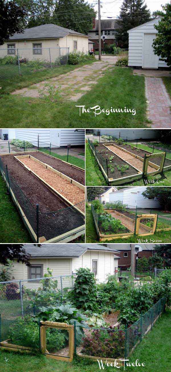 DIY U Shaped Raised Garden