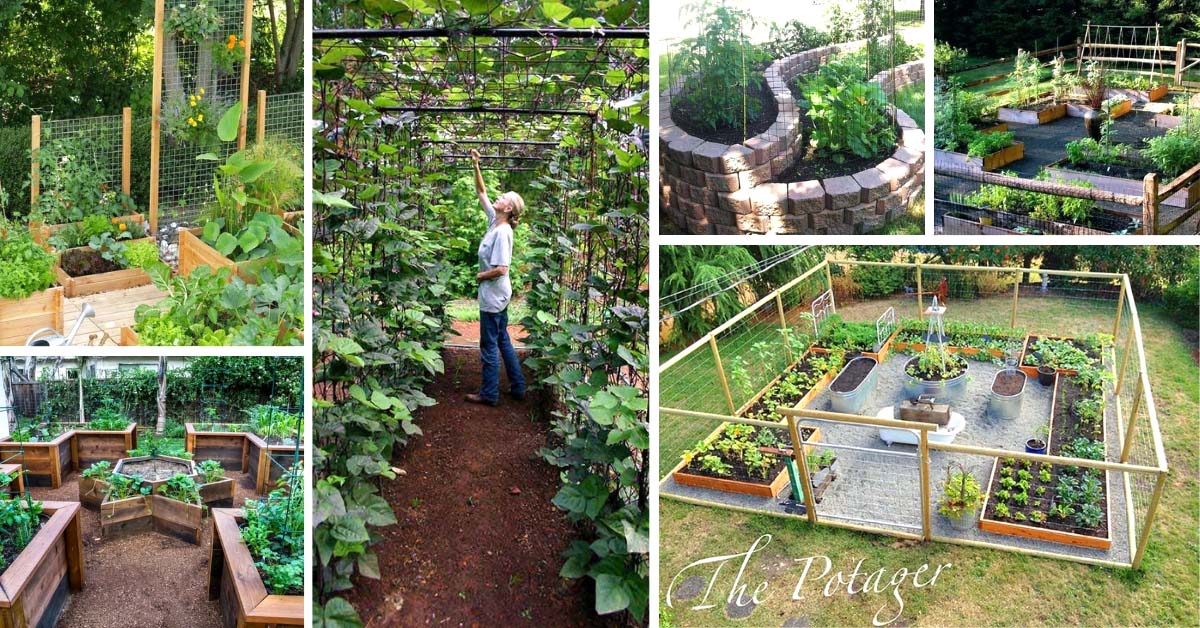 Grow Vegetable Garden