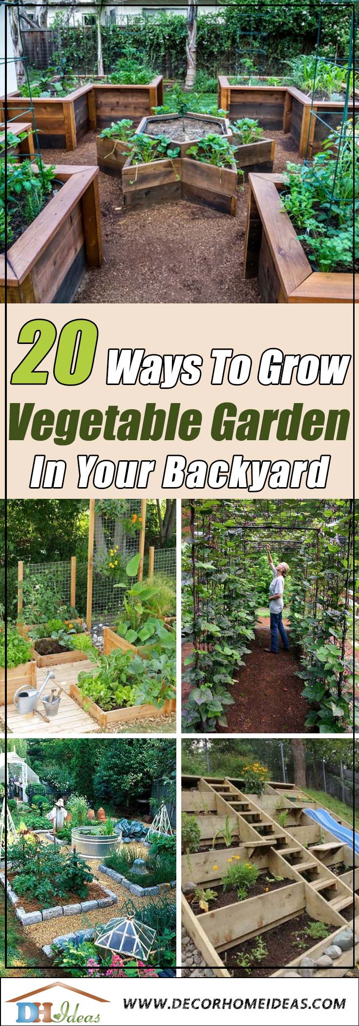 How To Grow Vegetable Garden