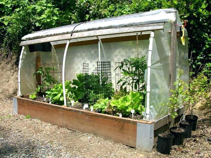 Raised Bed Cloche Vegetable Garden