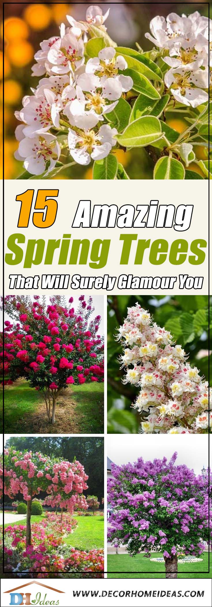 Spring Flowering Trees #spring #trees #springtrees #garden #decorhomeideas