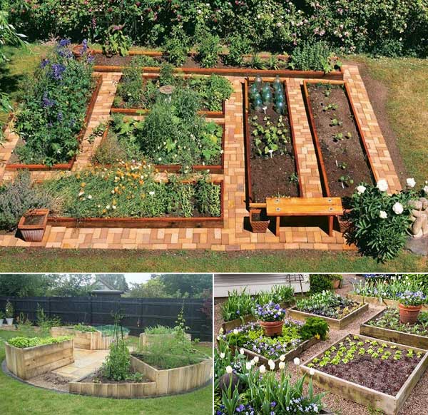 Symmetry Vegetable Garden