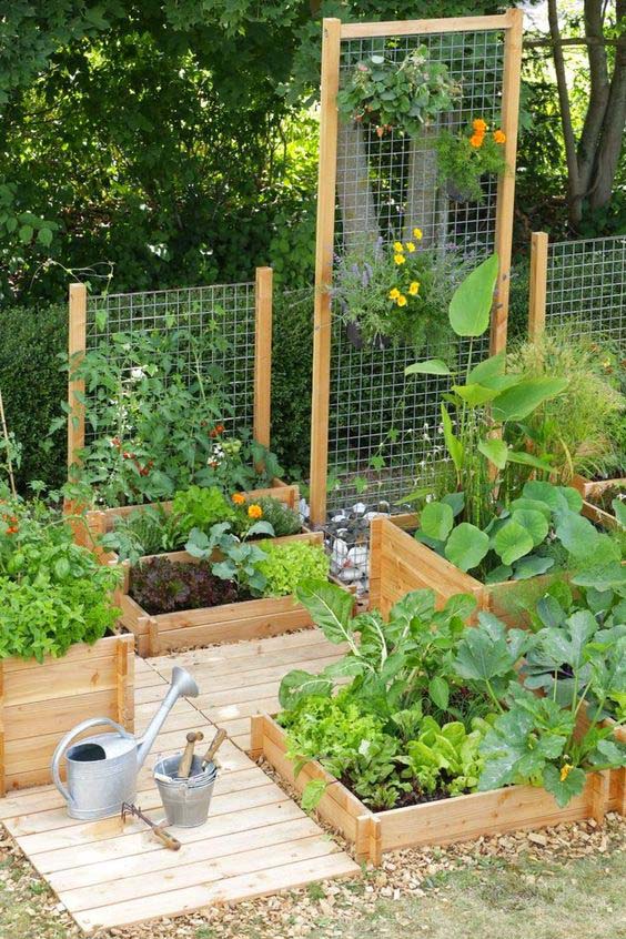 Wire Mesh Trellis Veggie Garden #garden #trellis #decorhomeideas