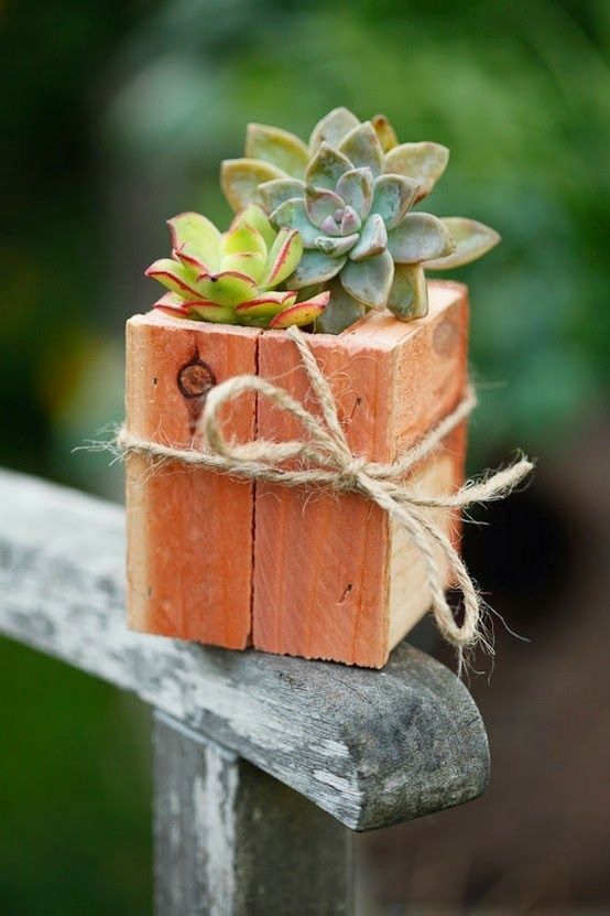 Wooden Box With Succulents #rustic #centerpieces #woodenbox #homedecor #decorhomeideas